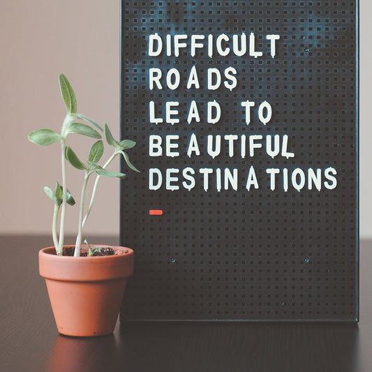 Journaling for Self-Reflection and Personal Growth - Beech Tree Paper