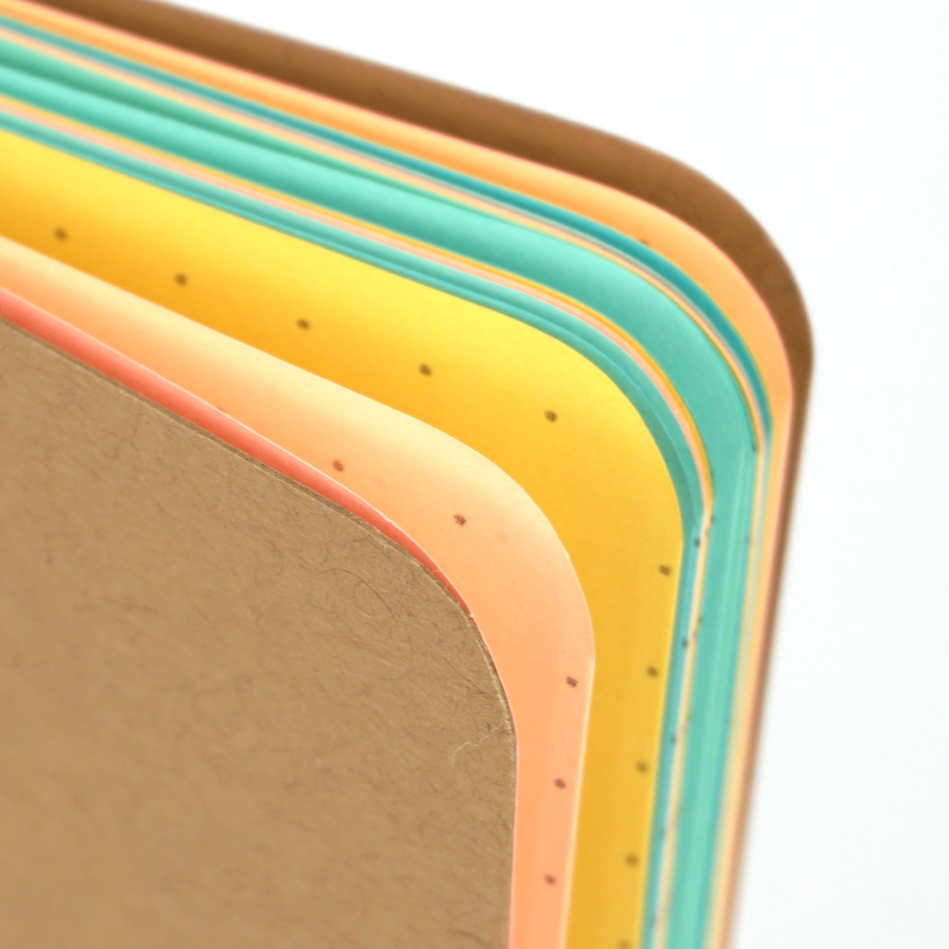 The Classic Notebook with Pastel Pages - Beech Tree Paper