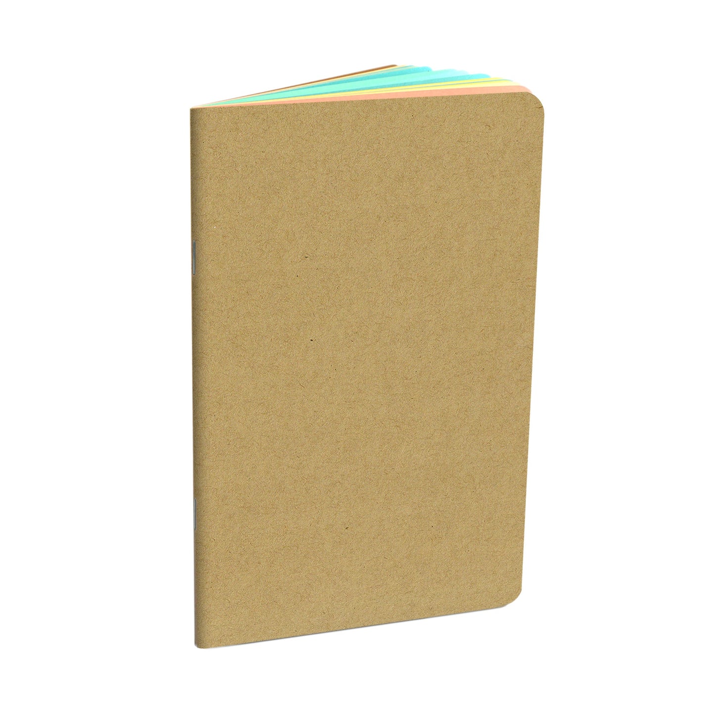 The Classic Notebook with Pastel Pages - Beech Tree Paper